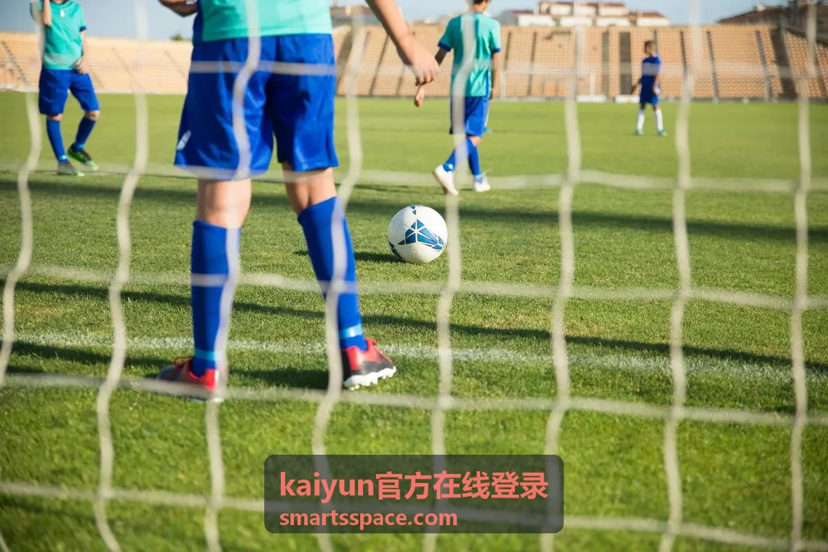 kaiyun官方在线登录支持服务配图