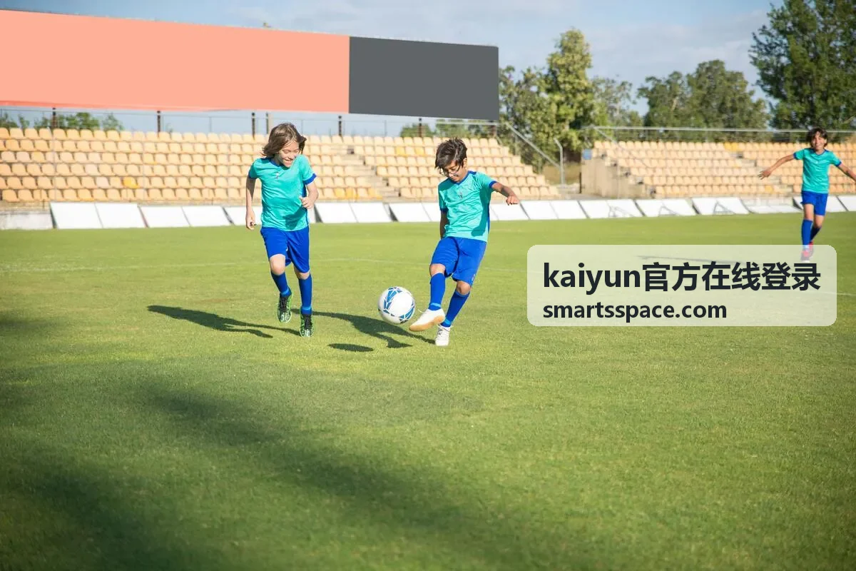 kaiyun官方在线登录入口指引封面