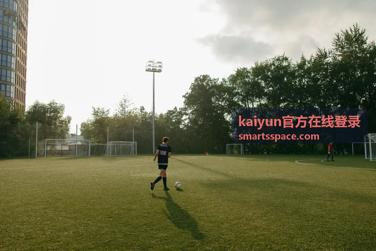 kaiyun官方在线登录 帮助支持常用入口配图